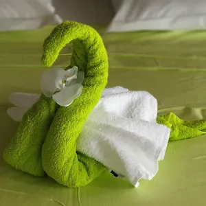 https://le-lis-vacances-et-affaire-cosy-vue-mer.comcaribbean.com
